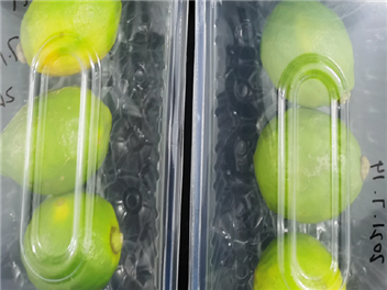 气调保鲜盒及其配套气调包装机包装柠檬