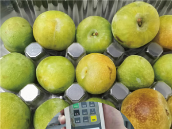 气调保鲜盒及其配套气调包装机包装四川脆李