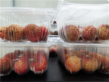 气调保鲜包装荔枝