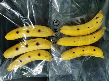 气调保鲜包装香蕉